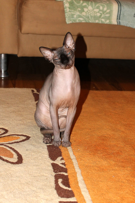 Самый шикарный подарок!!!!