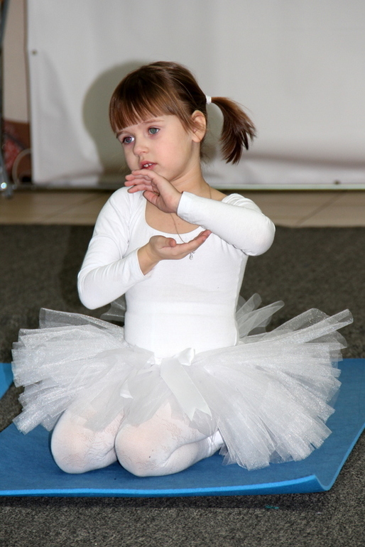 Танцующий лебедь