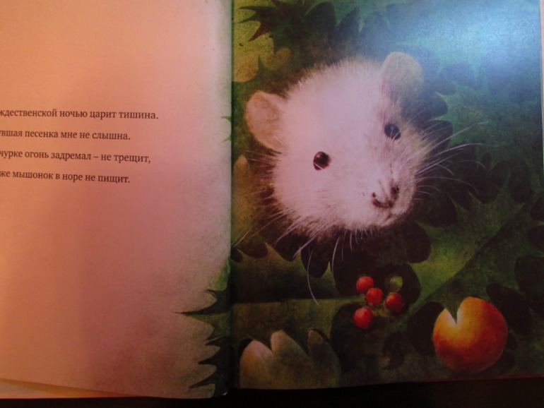 Наши зимние книжечки