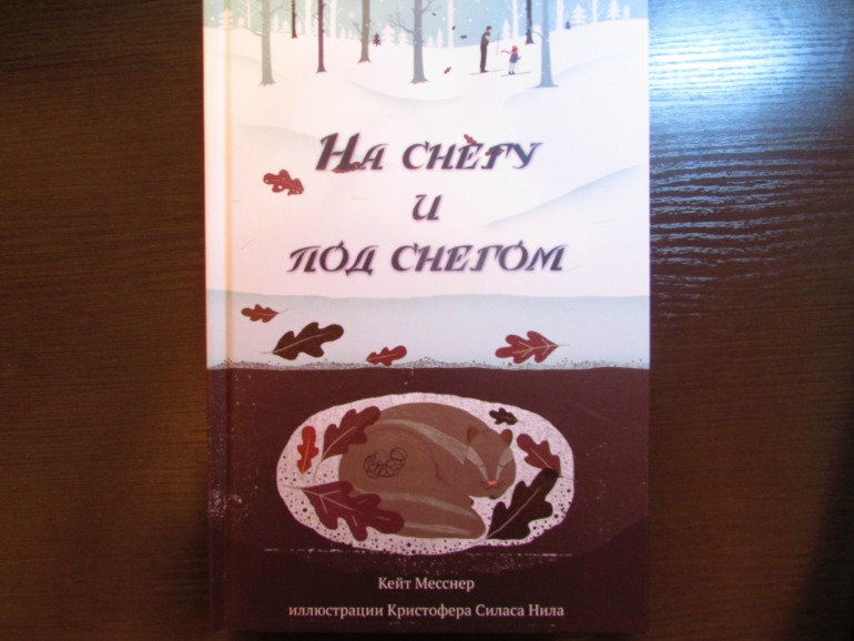 Наши зимние книжечки
