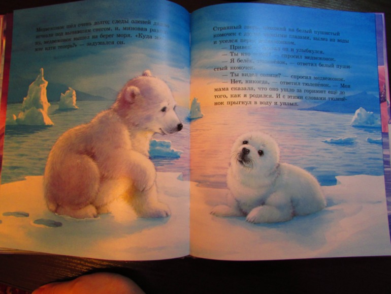 Наши зимние книжечки