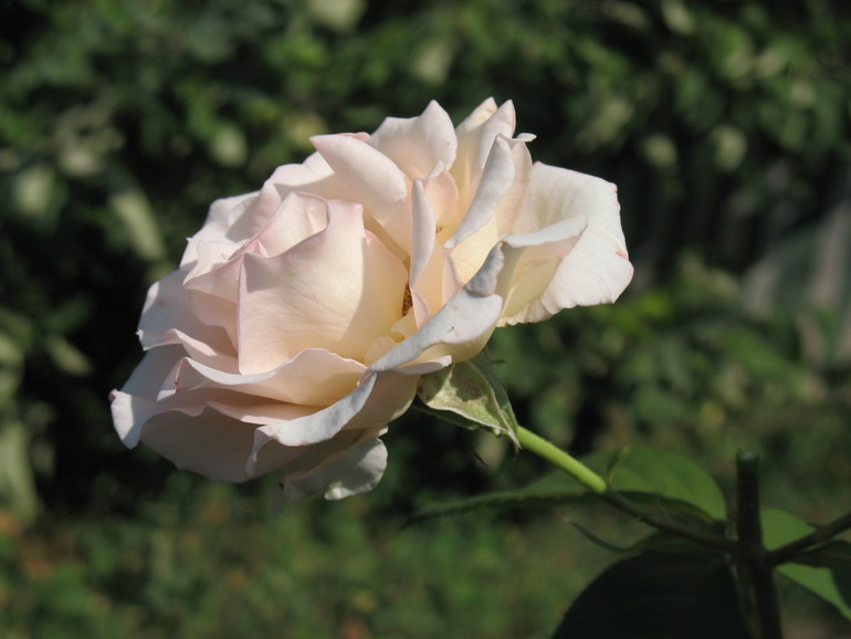 Урок №6 Три способа цветокоррекции фотографии