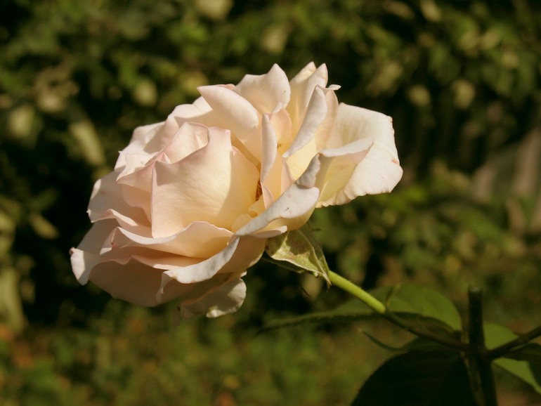 Урок №6 Три способа цветокоррекции фотографии