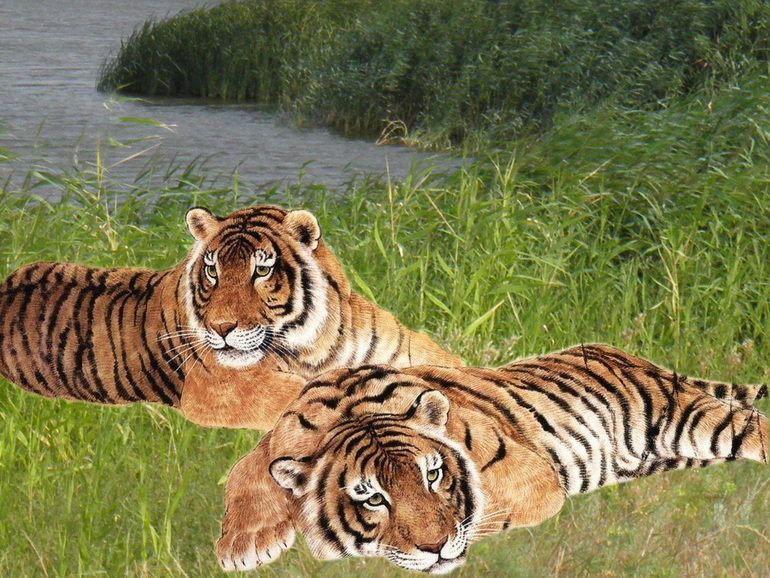 Урок №2 Вырезаем объект