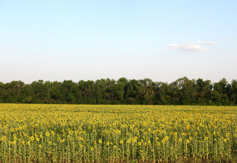 Контрольное задание № 9. Использование масок слоев