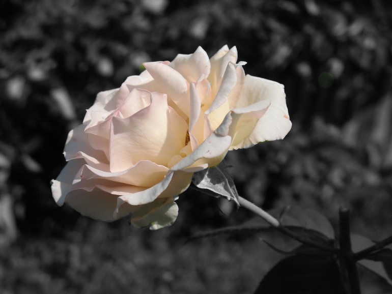 Урок №6 Три способа цветокоррекции фотографии