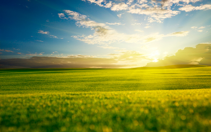 К чему приснилось?