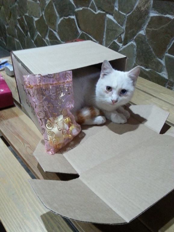 А вот и вторая Снегурочка порадовала!!!!!!!!!!