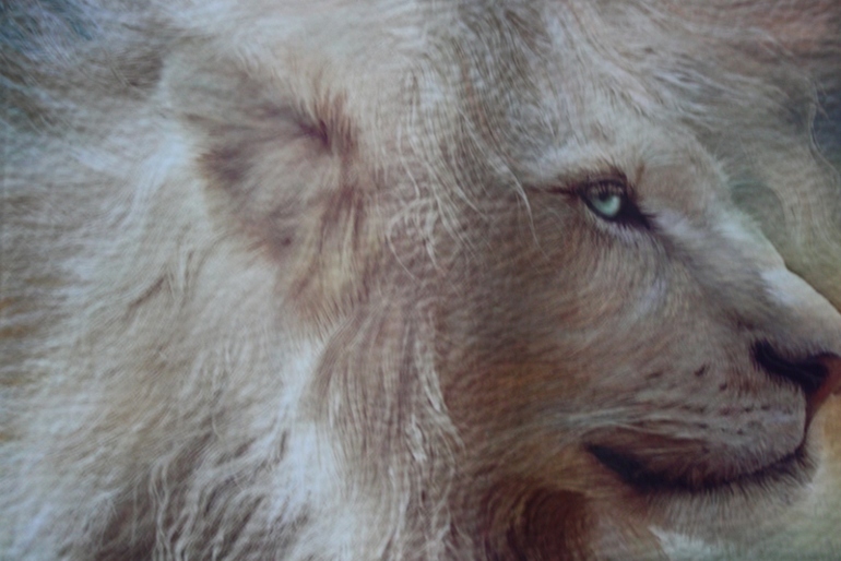 Декупаж на коже в новом году)))