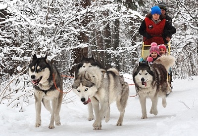 ПредНОВОГОДНИЙ Марафон - 27 день. Красота и релакс