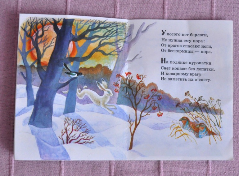 Наше зимнее чтение, 2 года.