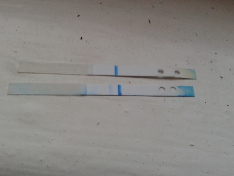 Последние тесты