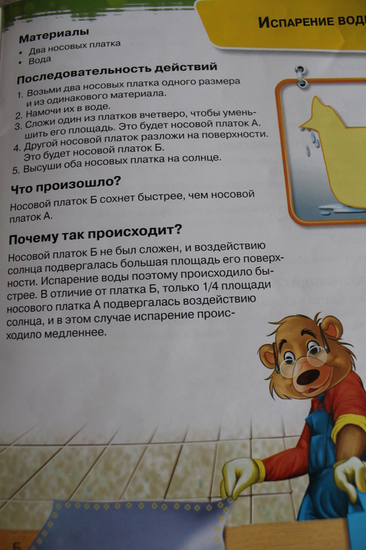 Первые научные опыты. Магнит и Вода