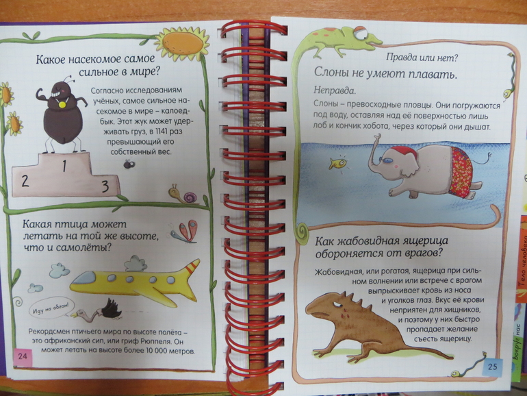 Скажи мне, это правда?