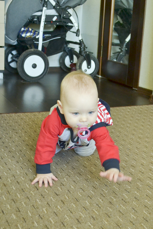 10 месяцев. (очень много фото)