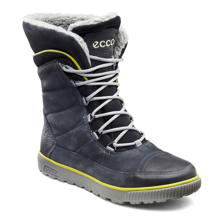 Ecco взрослые