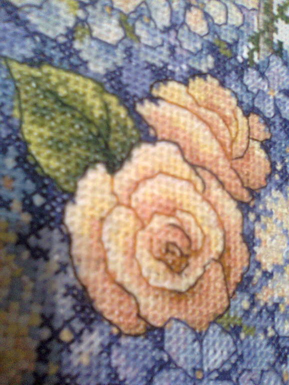 Гортензии и ракушки