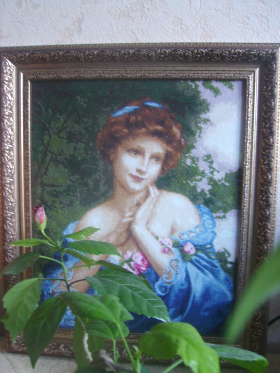 Летняя роза!