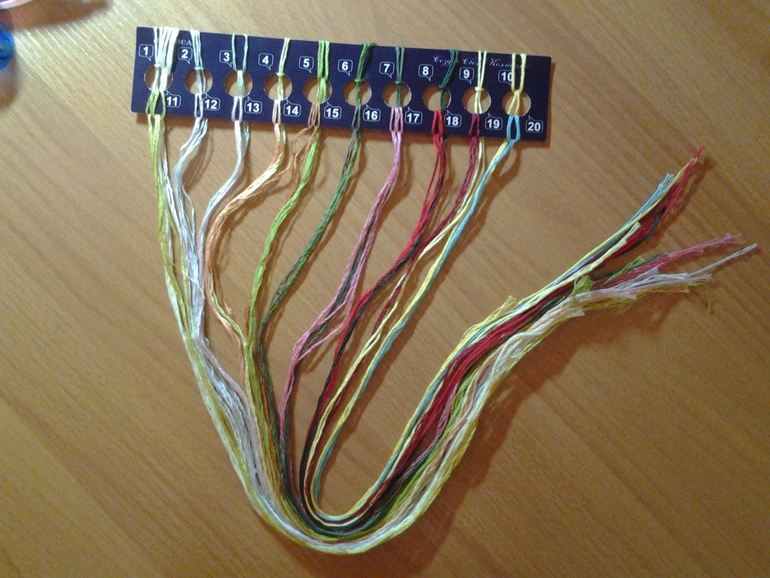 Тюльпан и бабочка