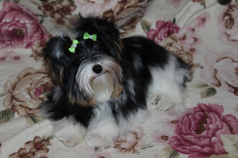 Ну вот мы и подросли) 6.5 мес.