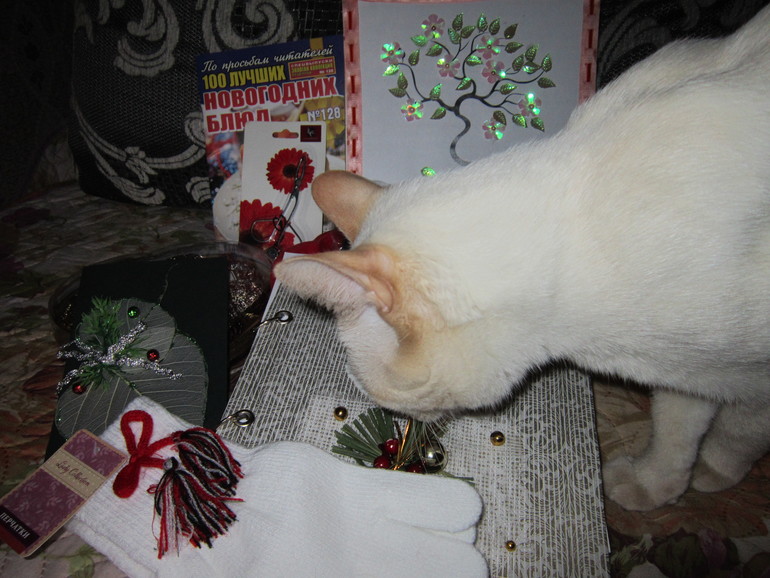 Посылочка от Оленьки