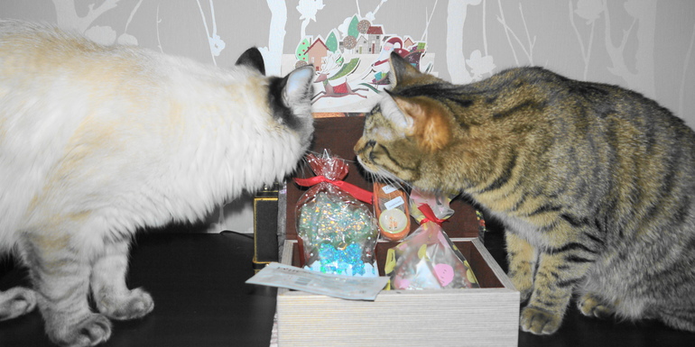 ура!!!! МОЯ ПЕРВАЯ В ЖИЗНИ СНЕГУРКА и СНЕЖИНКА ЖОШЛА!))))))))