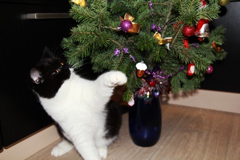 с Новым 2014 годом друзья!!!