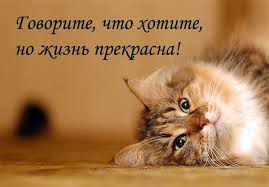 взлет 69 - день 10