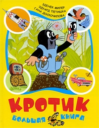 Книжный шкаф (наши книги)