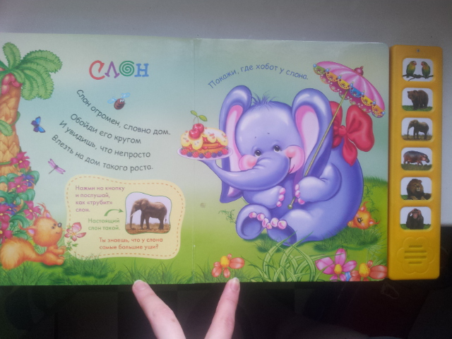 Наши любимые музыкальные книги!от 1 года!!Обзор