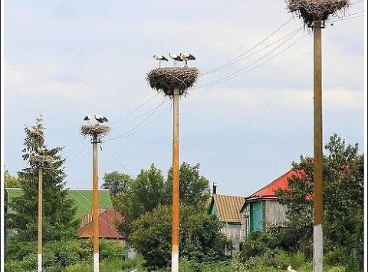 Вот такая красота! Разбираем, дорогие девочки!