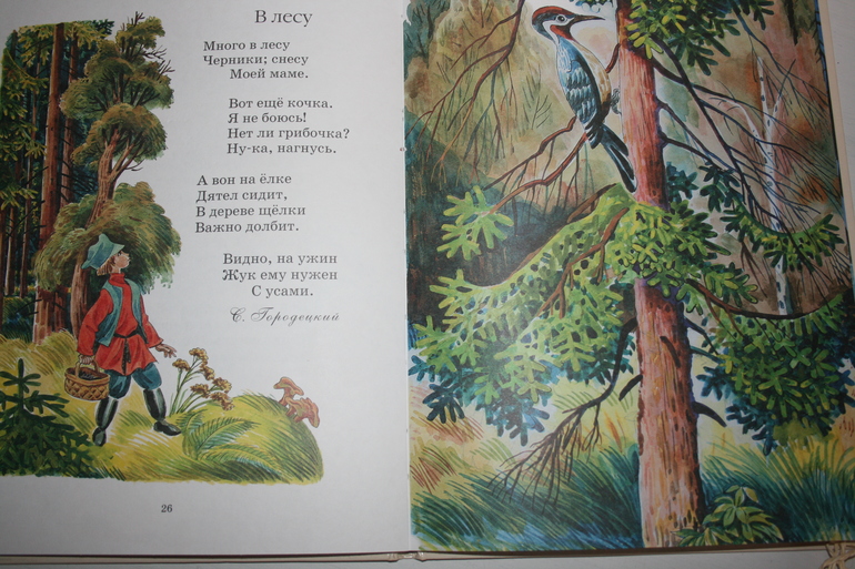 Наши книги (1 г и 8 мес)