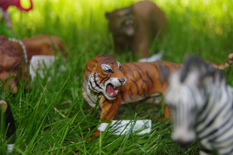 Zoo