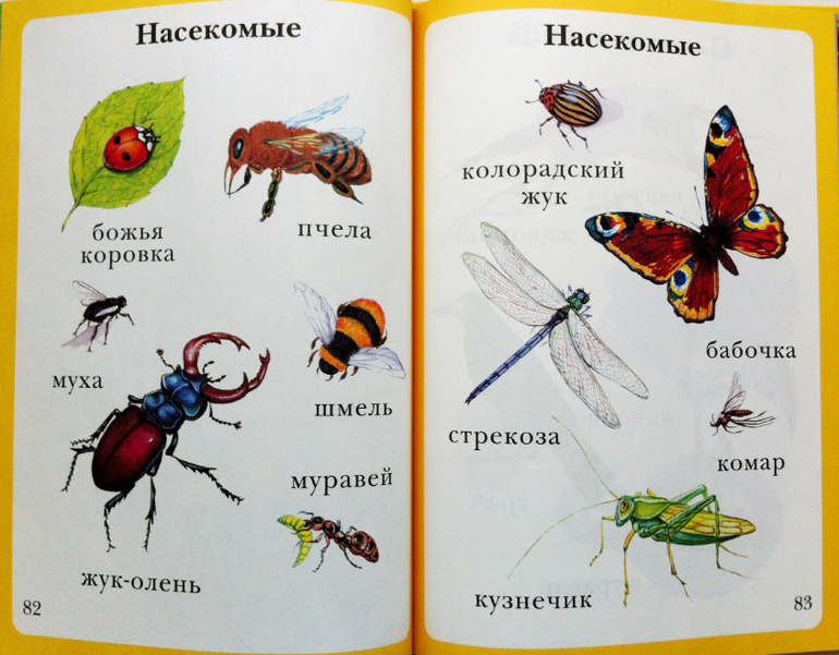 5ab4103f2cf5326f3e582fc872e15c4d.jpg
