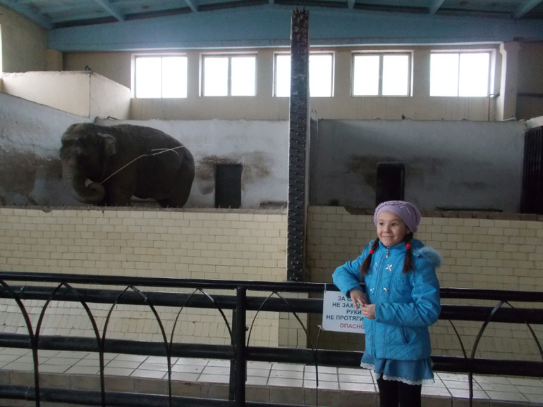 Фотопост 1
