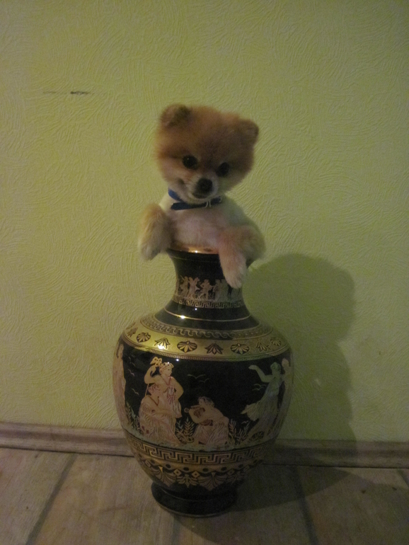 Олимпийский кубок)