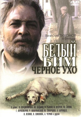 Белый Бим,черное ухо!!