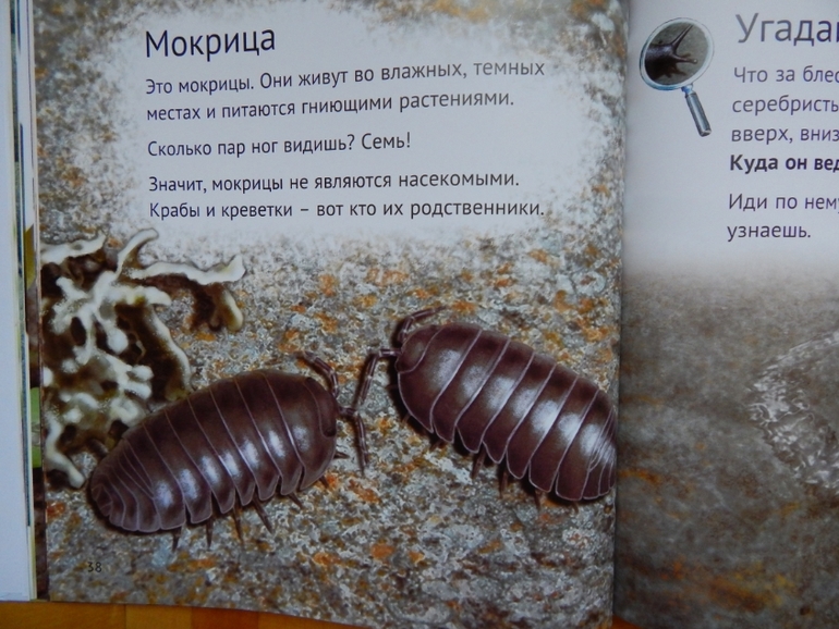 Книжка для сыночка (апрель).