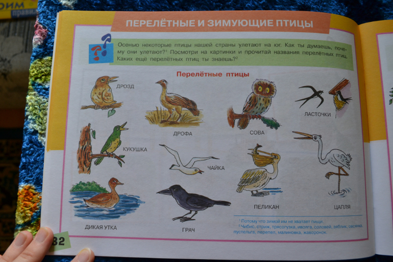 Наша развивающая посылочка)