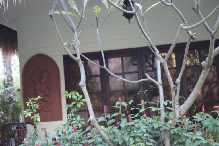 CHAM VILLAS, Муйне
