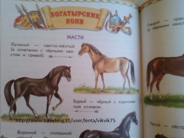 f64d72537d582713f7adec31e20d550f.jpg