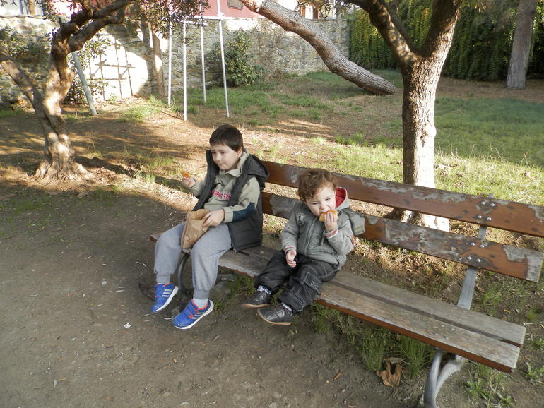 Январские прогулки