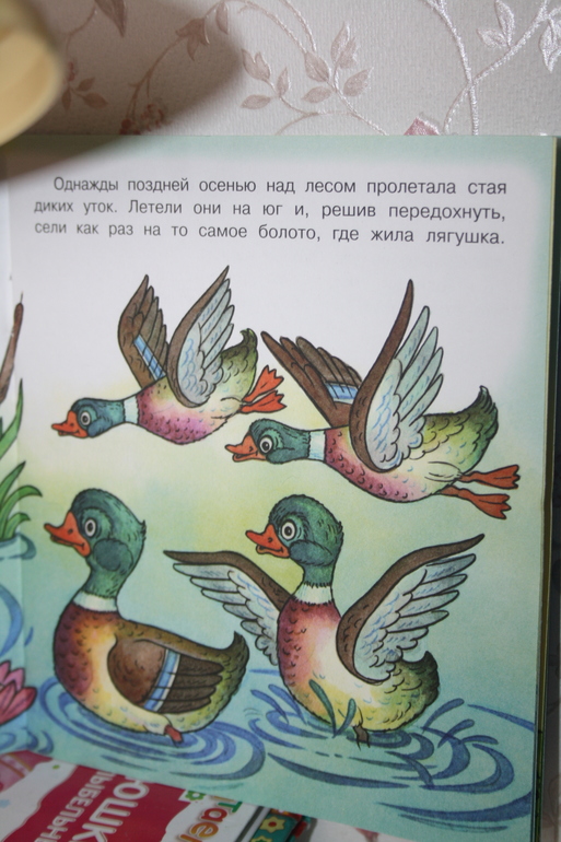 "Катюша -- путешественница".