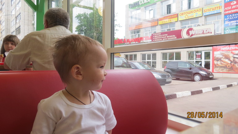 Поездка или эпопея с садиком)))
