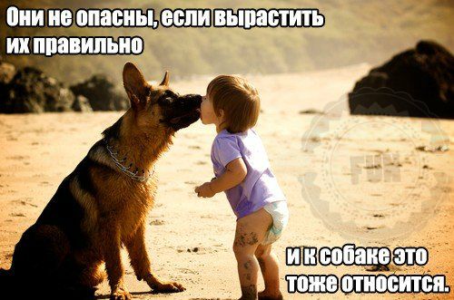 ))