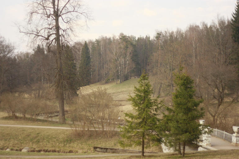 Павловский парк скоро вдоль и поперёк обойдём.