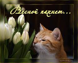 Хорошее настроение)))