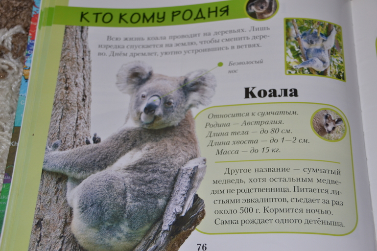 ТН Австралия