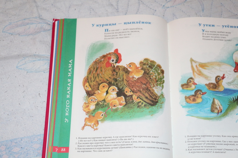 Отчет Курица, петух, цыпленок