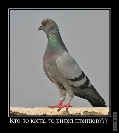 Гулька!!!!